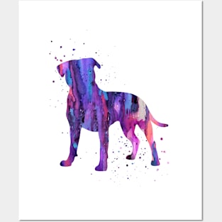 American Pit Bull Terrier Posters and Art